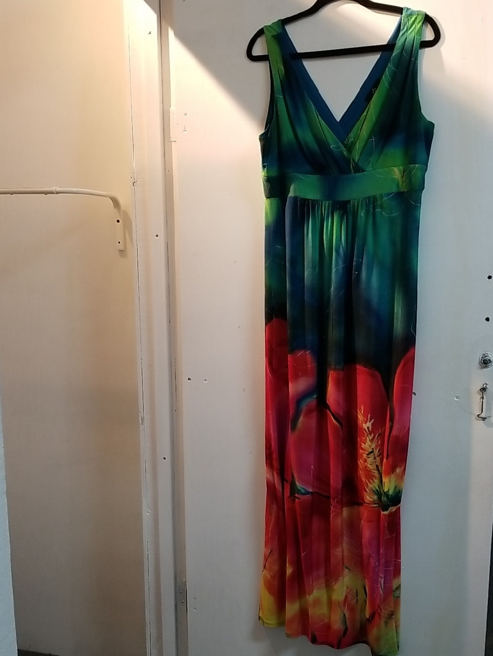 Ronni Nicole Green Blue Maxi Dress with Red Floral Print